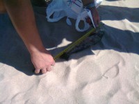 /album/a3%c2%ba-concurso-del-foro-/foto0186-jpg/